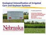 Ecological Intensification of Irrigated Corn and Soybean Systems