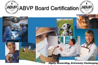 ABVP Board Certification