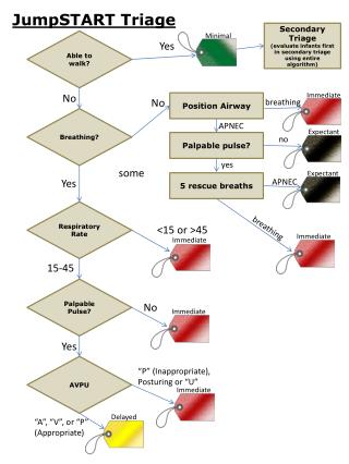 PPT - MASS Triage Scenario PowerPoint Presentation - ID:6665146