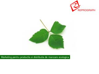 Marketing pentru productia si distributia de mancare ecologica