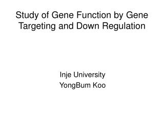 Study of Gene Function by Gene Targeting and Down Regulation