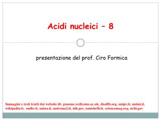 Acidi nucleici â€“ 8