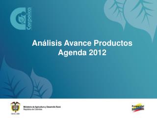 AnÃ¡lisis Avance Productos Agenda 2012