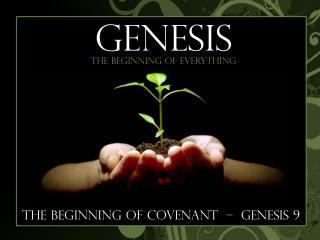 The Beginning of Covenant â€“ genesis 9