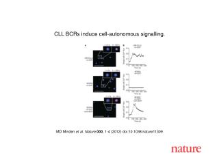 MD Minden et al. Nature 000 , 1-4 (2012) doi:10.1038/nature 11309