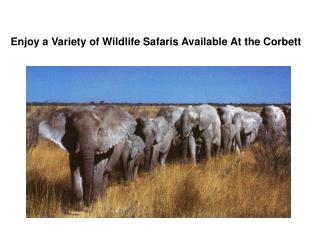 Enjoy a Variety of Wildlife Safaris Available At the Corbett
