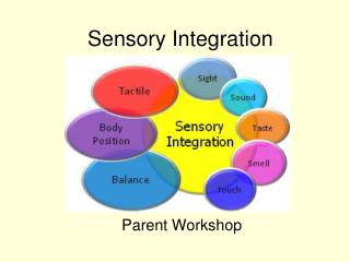 Sensory Integration