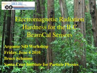Electromagnetic Radiation Hardness for the ILC BeamCal Sensors