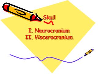 Skull I. Neuro cranium II. Viscero cranium