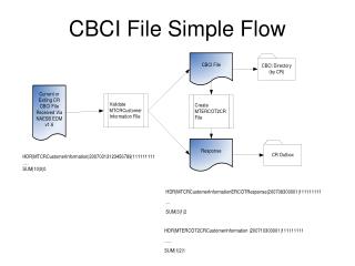 CBCI File Simple Flow