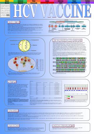 HCV VACCINE