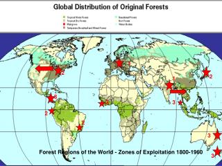 Forest Regions of the World - Zones of Exploitation 1800-1960