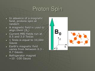 Proton Spin