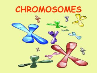 CHROMOSOMES