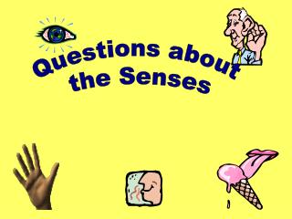 Questions about the Senses
