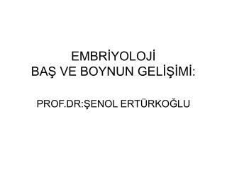 EMBRÄ°YOLOJÄ° BAÅž VE BOYNUN GELÄ°ÅžÄ°MÄ°: