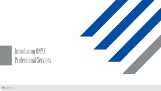 Introducing ONYX Professional Services