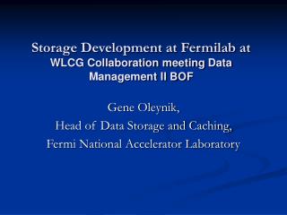 Storage Development at Fermilab at WLCG Collaboration meeting Data Management II BOF