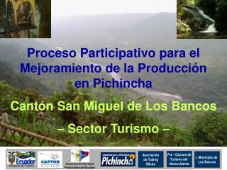 Proceso Participativo para el Mejoramiento de la ProducciÃ³n en Pichincha