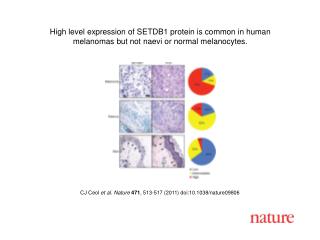 CJ Ceol et al. Nature 471 , 513 - 517 (2011) doi:10.1038/nature09806