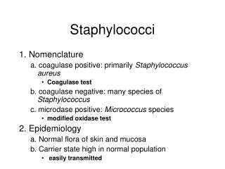 PPT - STAPHYLOCOCCI PowerPoint Presentation - ID:1202838