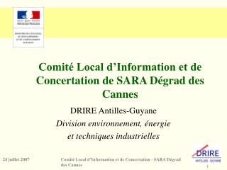 ComitÃ© Local dâ€™Information et de Concertation de SARA DÃ©grad des Cannes