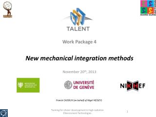Work Package 4 New mechanical integration methods November 20 th , 2013