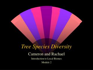 Tree Species Diversity