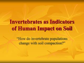 Invertebrates as Indicators of Human Impact on Soil