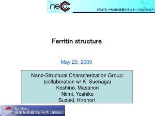 Ferritin structure