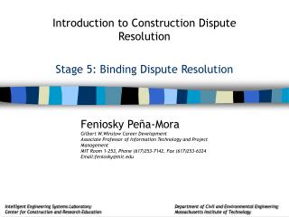 Stage 5: Binding Dispute Resolution