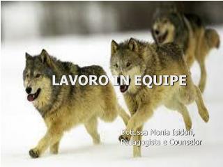 LAVORO IN EQUIPE