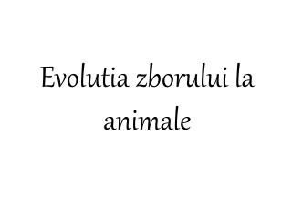 Evolutia zborului la animale