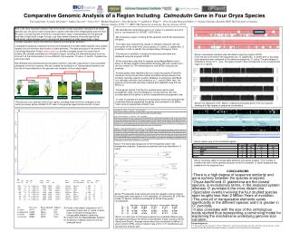 There is a high degree of sequence similarity and gene synteny between the species analyzed .