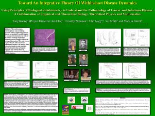 Toward An Integrative Theory Of Within-host Disease Dynamics