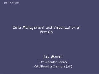 Data Management and Visualization at Pitt CS