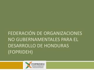 FEDERACIÃ“N DE ORGANIZACIONES NO GUBERNAMENTALES PARA EL DESARROLLO DE HONDURAS (FOPRIDEH)