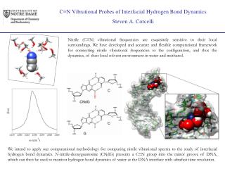 C â‰¡ N Vibrational Probes of Interfacial Hydrogen Bond Dynamics Steven A. Corcelli