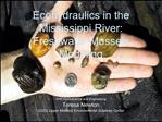 Ecohydraulics in the Mississippi River: Freshwater Mussels Modeling