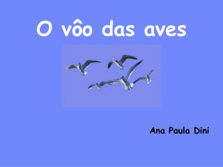 O vÃ´o das aves