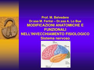 Prof. M. Belvedere Dr.ssa M. Ferlisi – Dr.ssa A. Lo Bue MODIFICAZIONI ANATOMICHE E FUNZIONALI NELL'INVECCHIAMENTO FISIOL