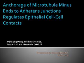 Anchorage of Microtubule Minus Ends to Adherens Junctions Regulates Epithelial Cell-Cell Contacts