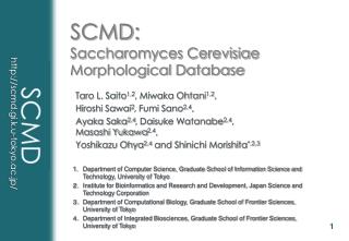 SCMD: Saccharomyces Cerevisiae Morphological Database