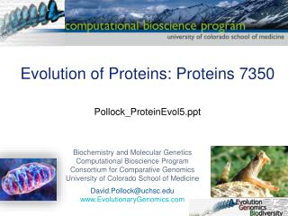 Evolution of Proteins: Proteins 7350 Pollock_ProteinEvol5