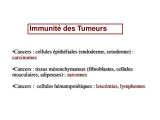 Cancers : cellules Ã©pithÃ©liales (endoderme, ectoderme) : carcinomes