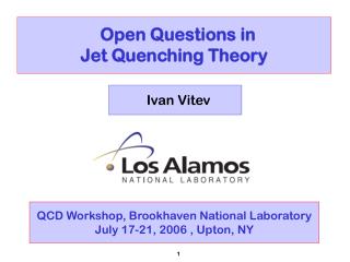 Open Questions in Jet Quenching Theory