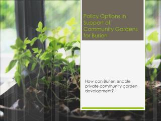Policy Options in Support of Community Gardens for Burien
