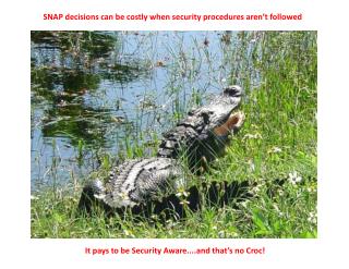 SNAP decisions can be costly when security procedures aren’t followed
