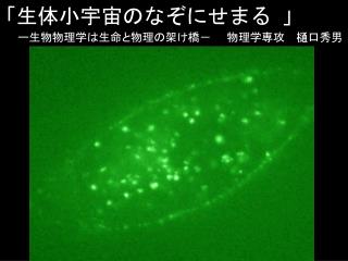 「生体小宇宙のなぞにせまる 」