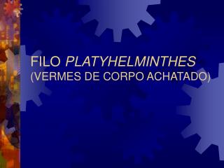 FILO PLATYHELMINTHES (VERMES DE CORPO ACHATADO)